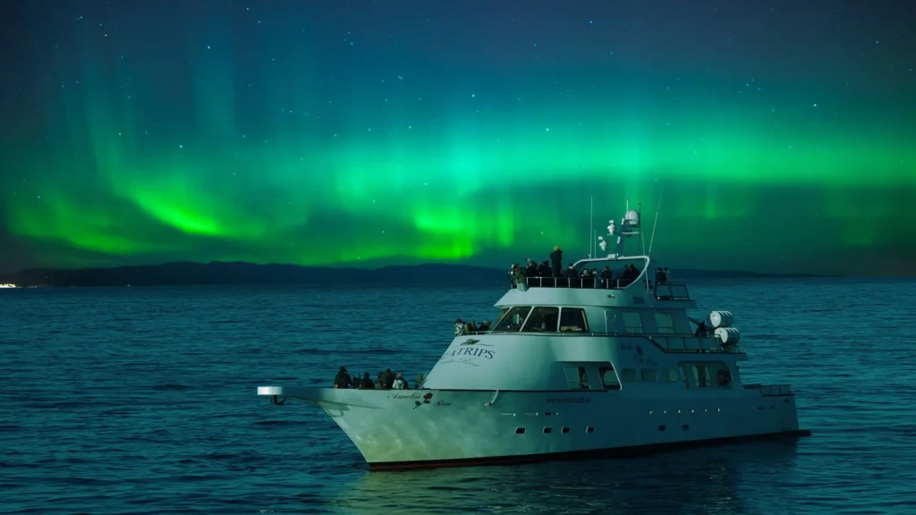 Northern Lights tour in Iceland
