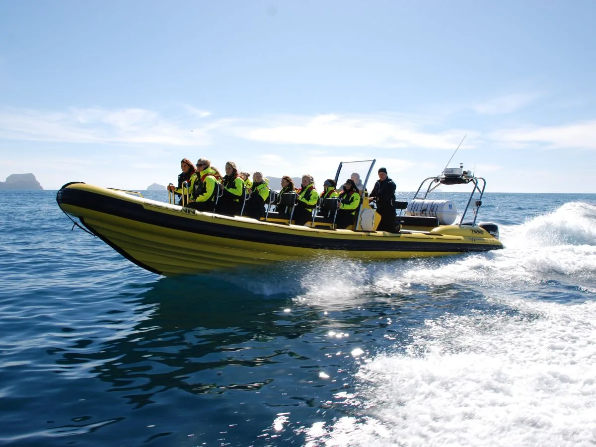 The Black Pearl RIB speedboat cruising at high speed in Faxaflói Bay during an adrenaline-filled whale watching tour from Reykjavík.