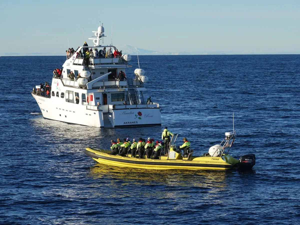 Iceland Discover fleet featuring the Amelia Rose yacht and the Black Pearl RIB speedboat side-by-side on a whale watching tour in Reykjavik.