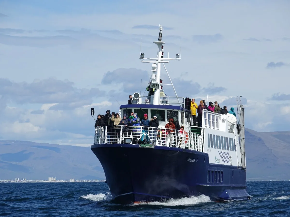 Front view of the Arctic Rose whale watching boat cruising through Faxaflói Bay on a classic tour from Reykjavík.