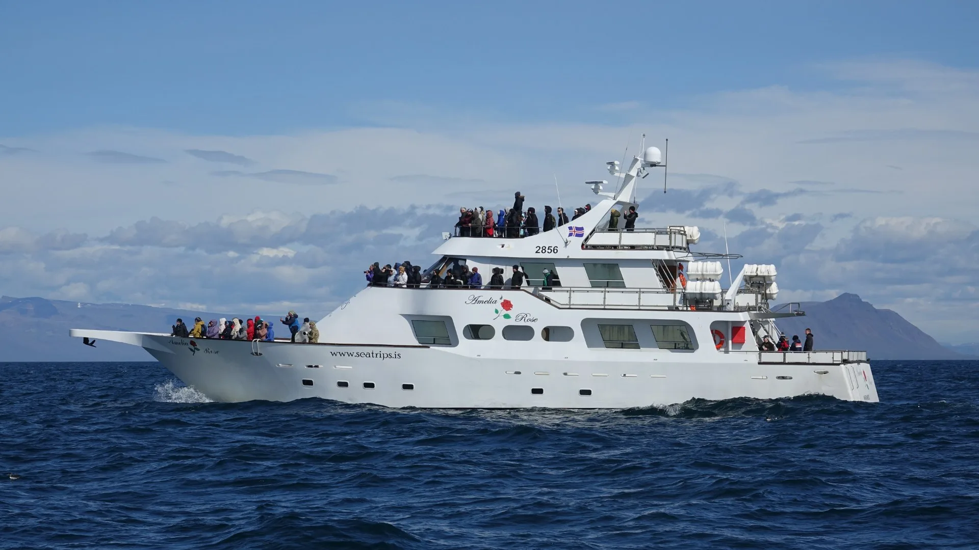What to Wear on a Whale Watching Tour in Iceland: The Ultimate Expert Guide