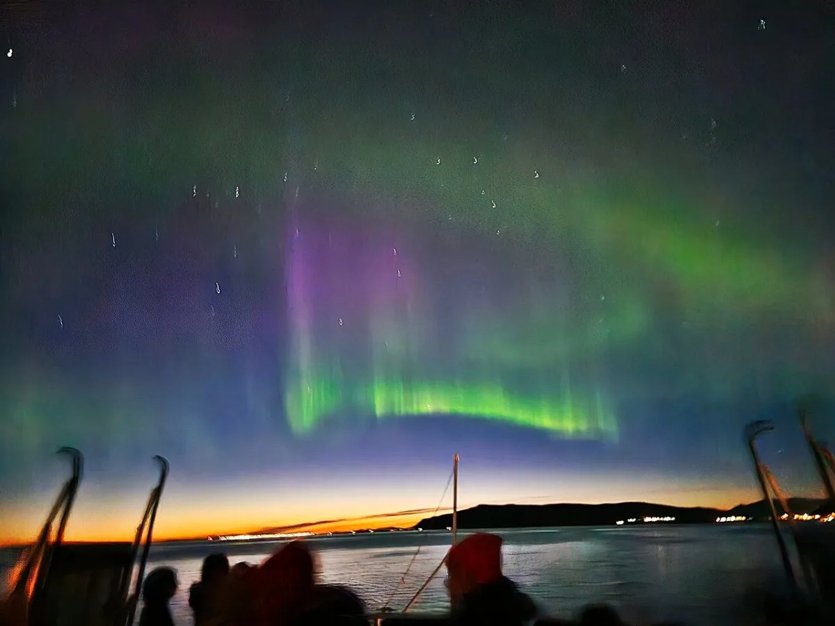 Stunning purple and green Northern Lights (Aurora Borealis) shimmering over the ocean horizon during a night cruise with Iceland Discover in Reykjavík.