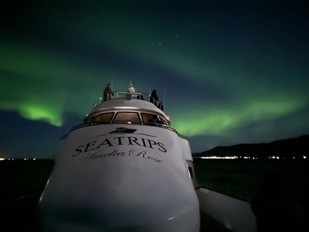 The Amelia Rose yacht by SeaTrips under a bright green Northern Lights (Aurora Borealis) display during a premium night cruise from Reykjavík.